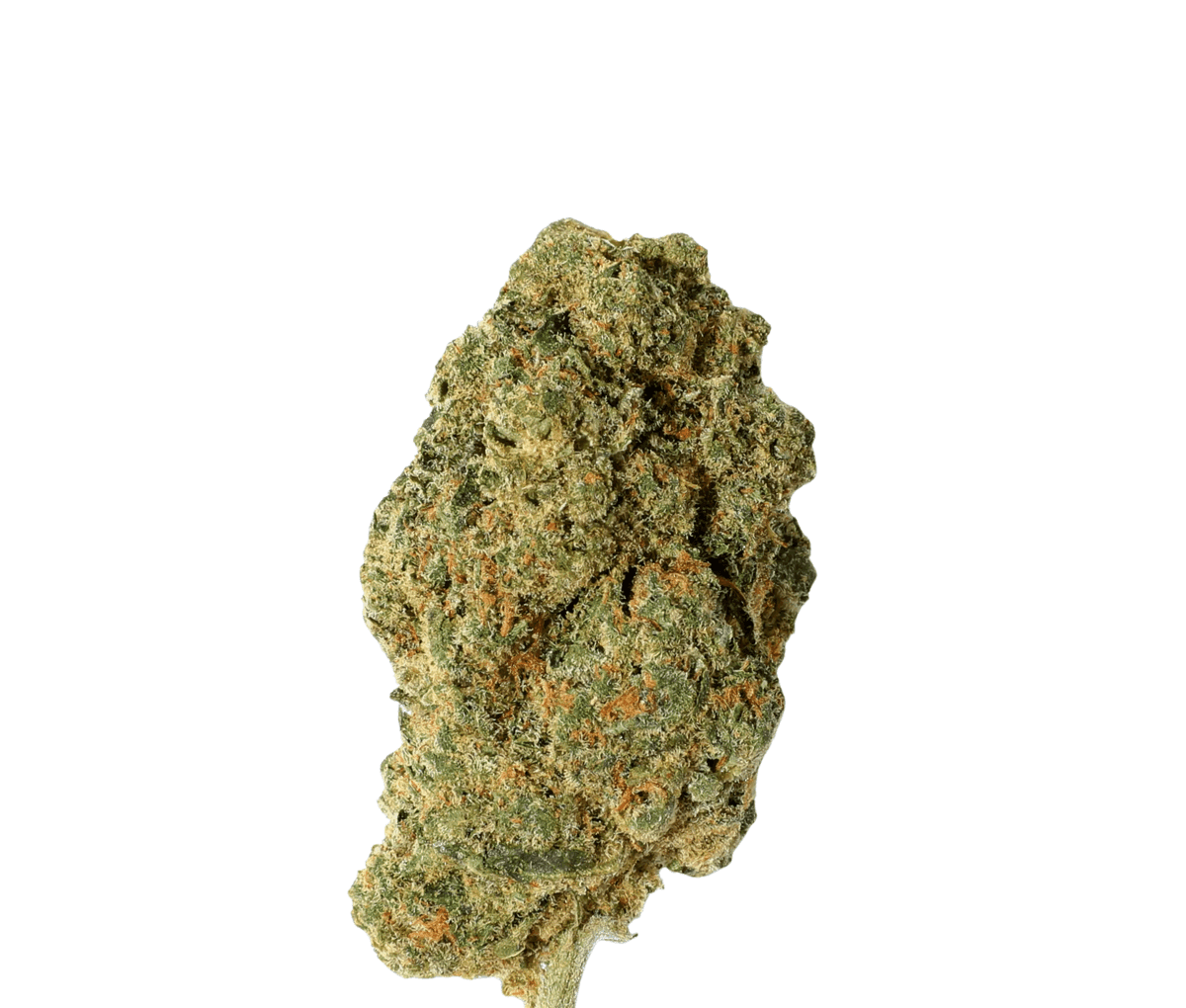 Huala 30/1 CA SCO - Scoops Huala 30/1 CA SCO - Scoops