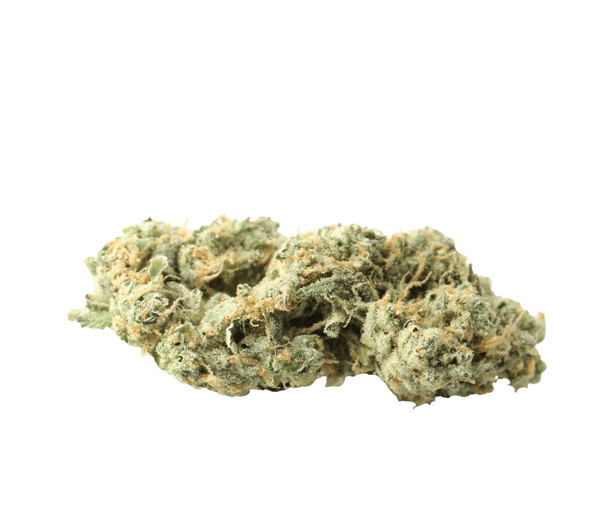 Huala 27/1 CA ALM - Alien Mints
