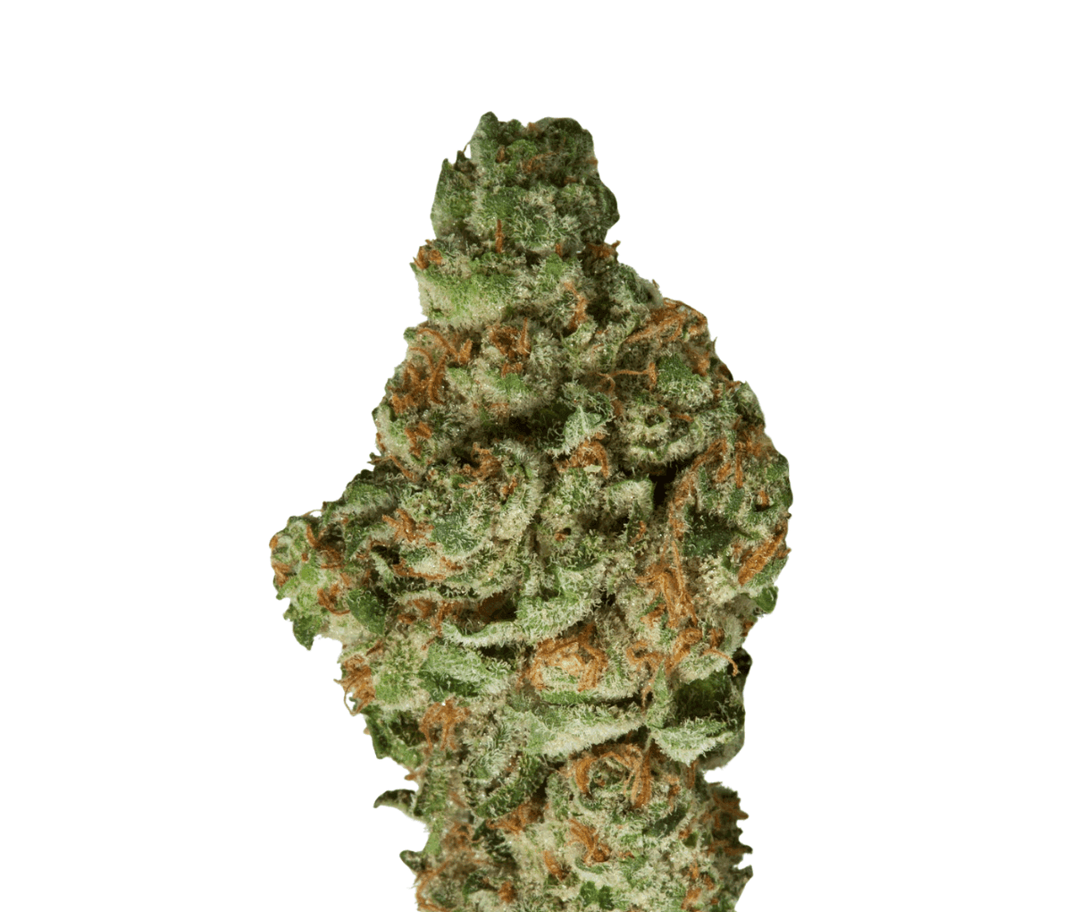 420 Natural 30/1 CA TGO - Triangle Octane