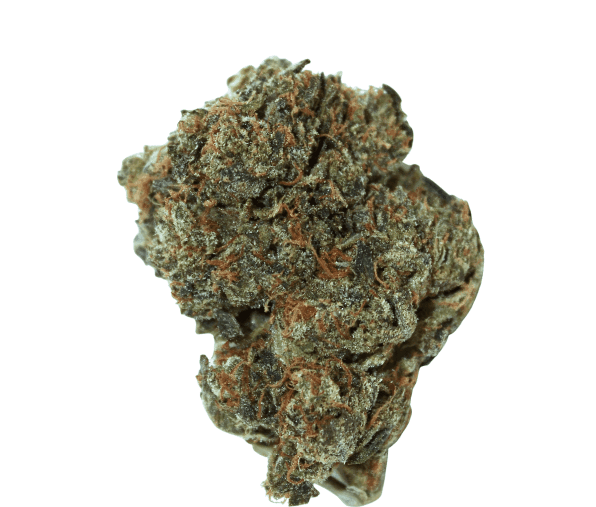 Remexian 30/1 NL CGA - Creamy Gas
