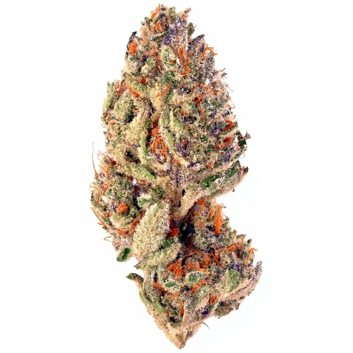 GT Epic Drop 30/1 Cookies OG |Cannazen GT Epic Drop 30/1 Cookies OG |Cannazen