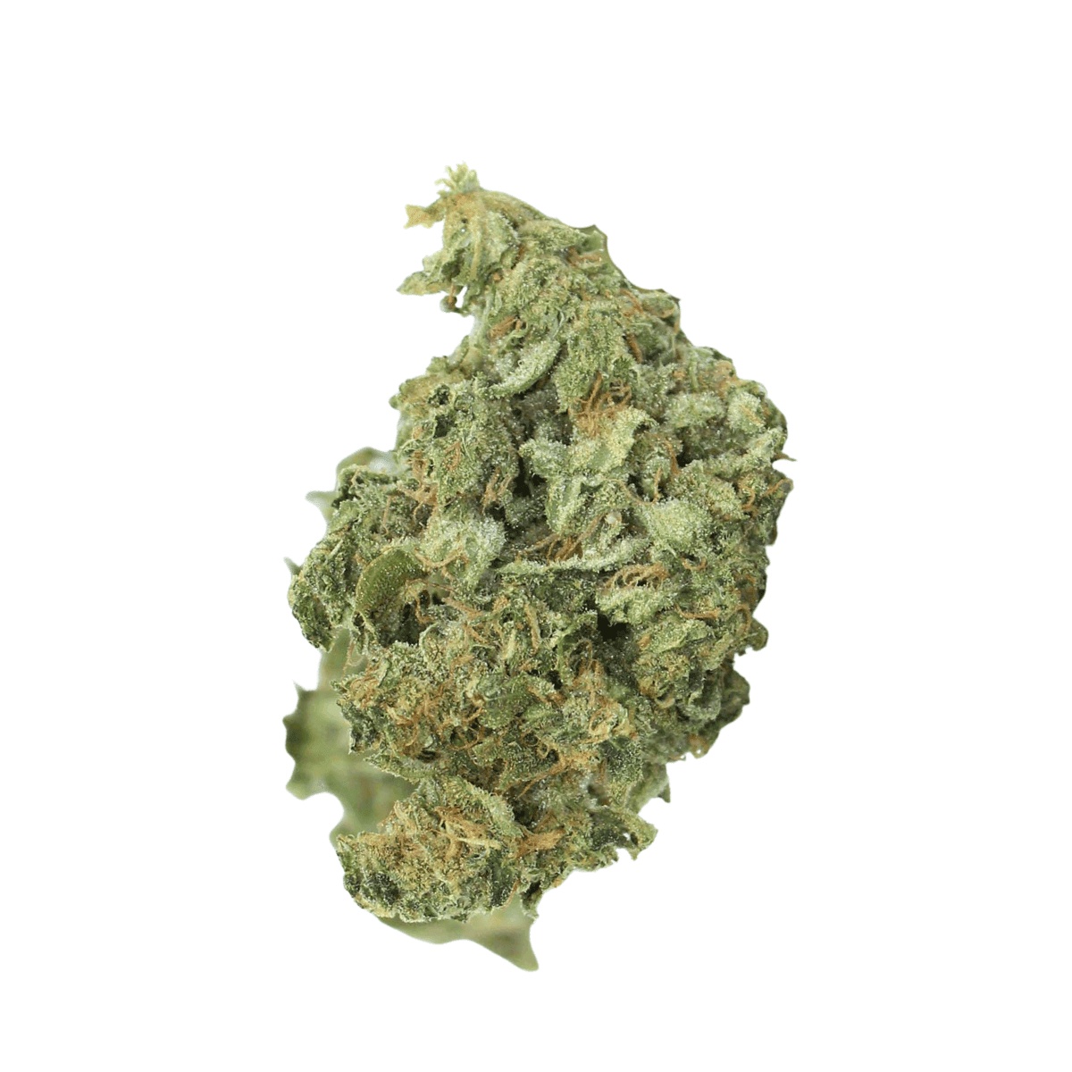 Fast Leaf 33/1 SMH - Sour Mintz Haze I Cannazen