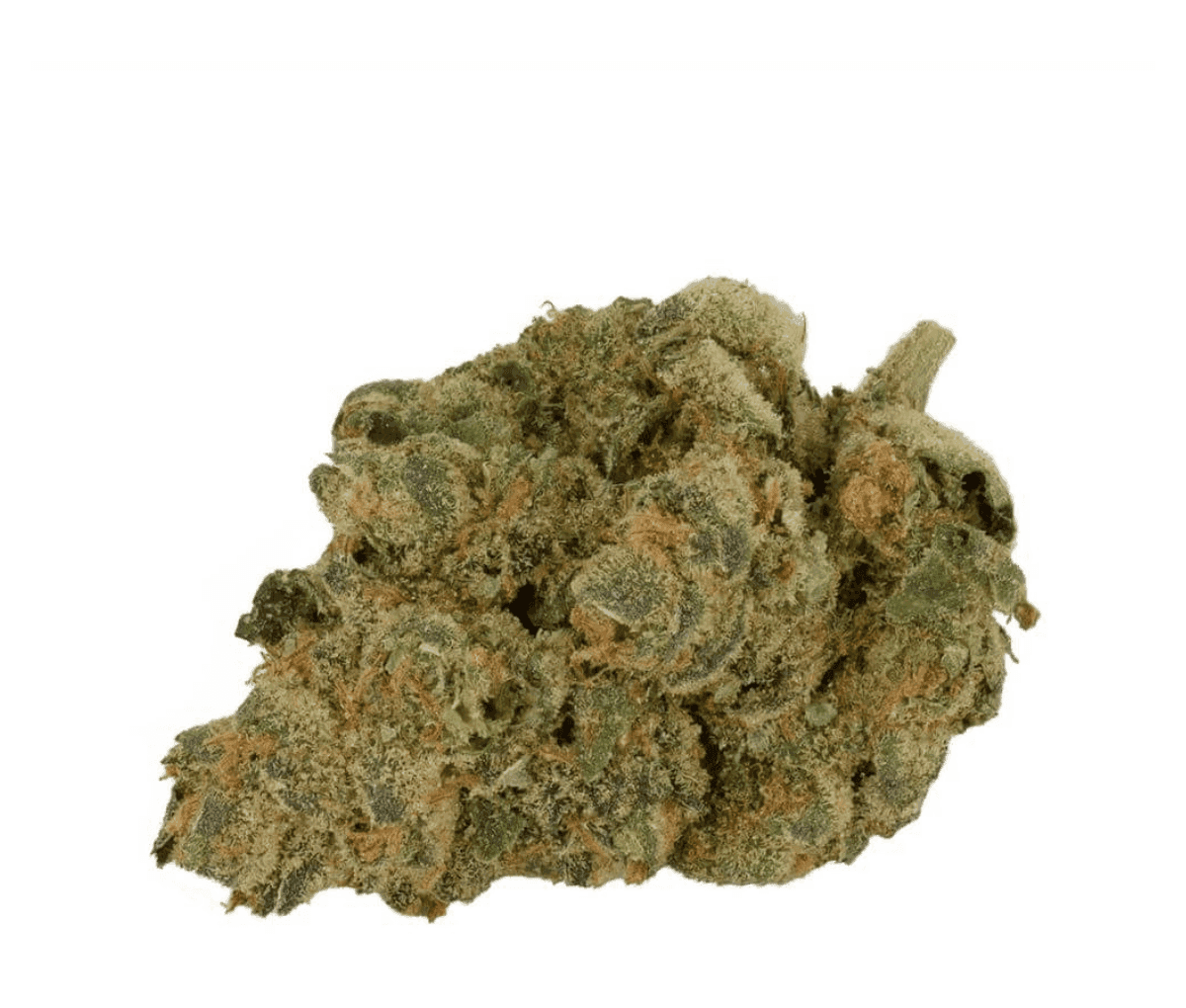 Remexian 27/1 GMO: - GMO Breath