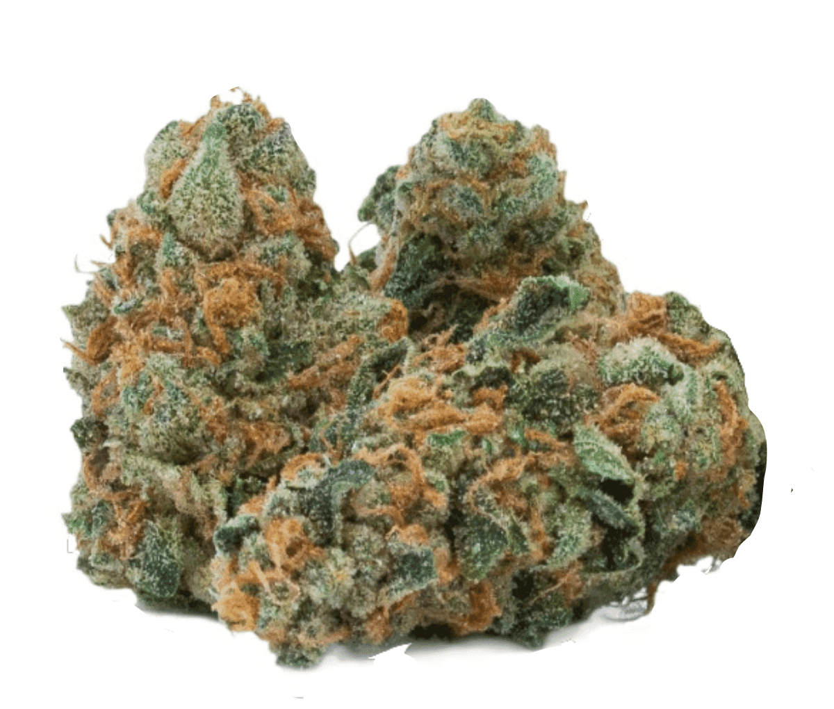 Peace Naturals 33/1 GC - GMO Cookies Peace Naturals 33/1 GC - GMO Cookies