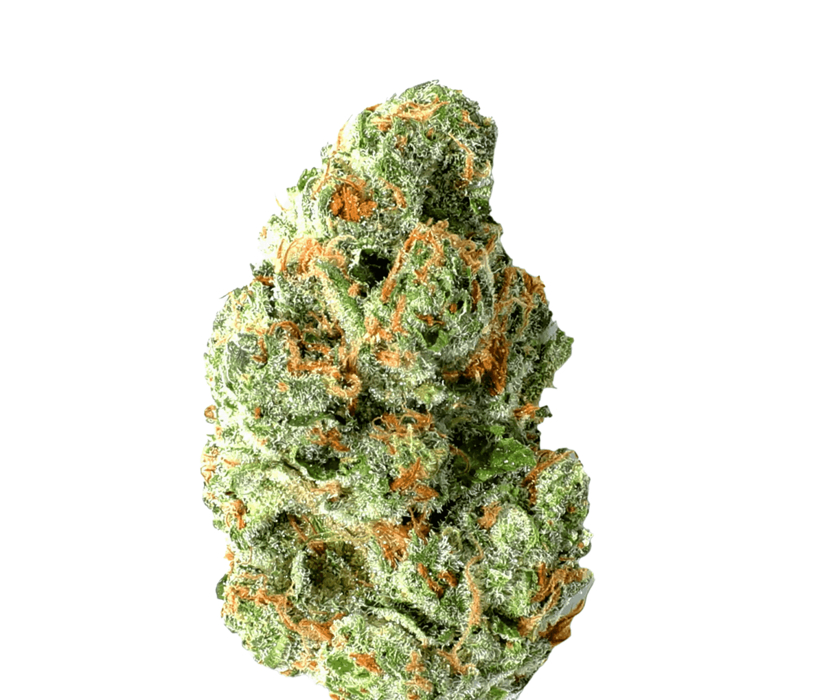 Pharmaleaves Indica Plain 20 Chocolate Mint