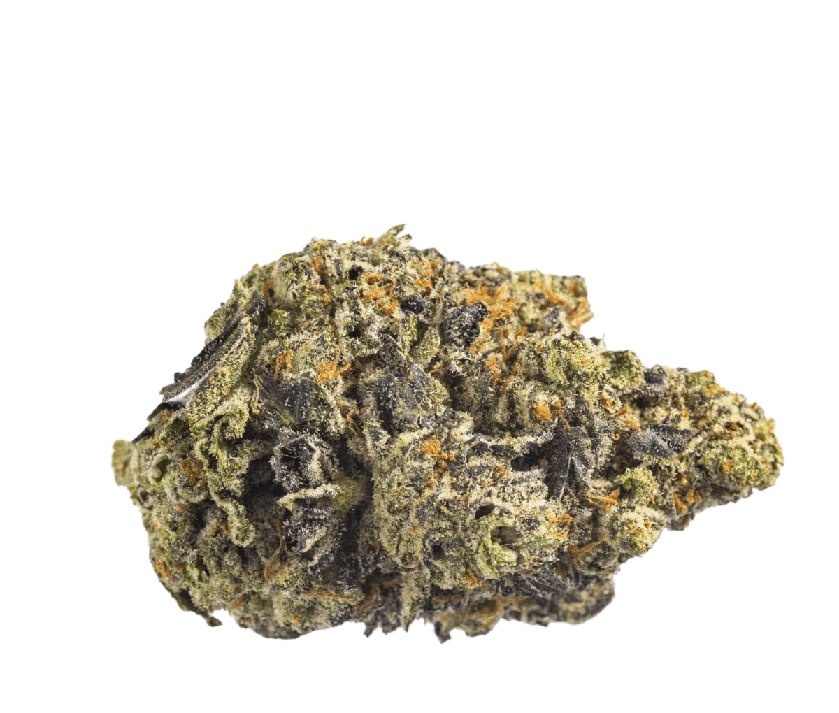 Canopy KMI 28 - Kush Mints Canopy KMI 28 - Kush Mints
