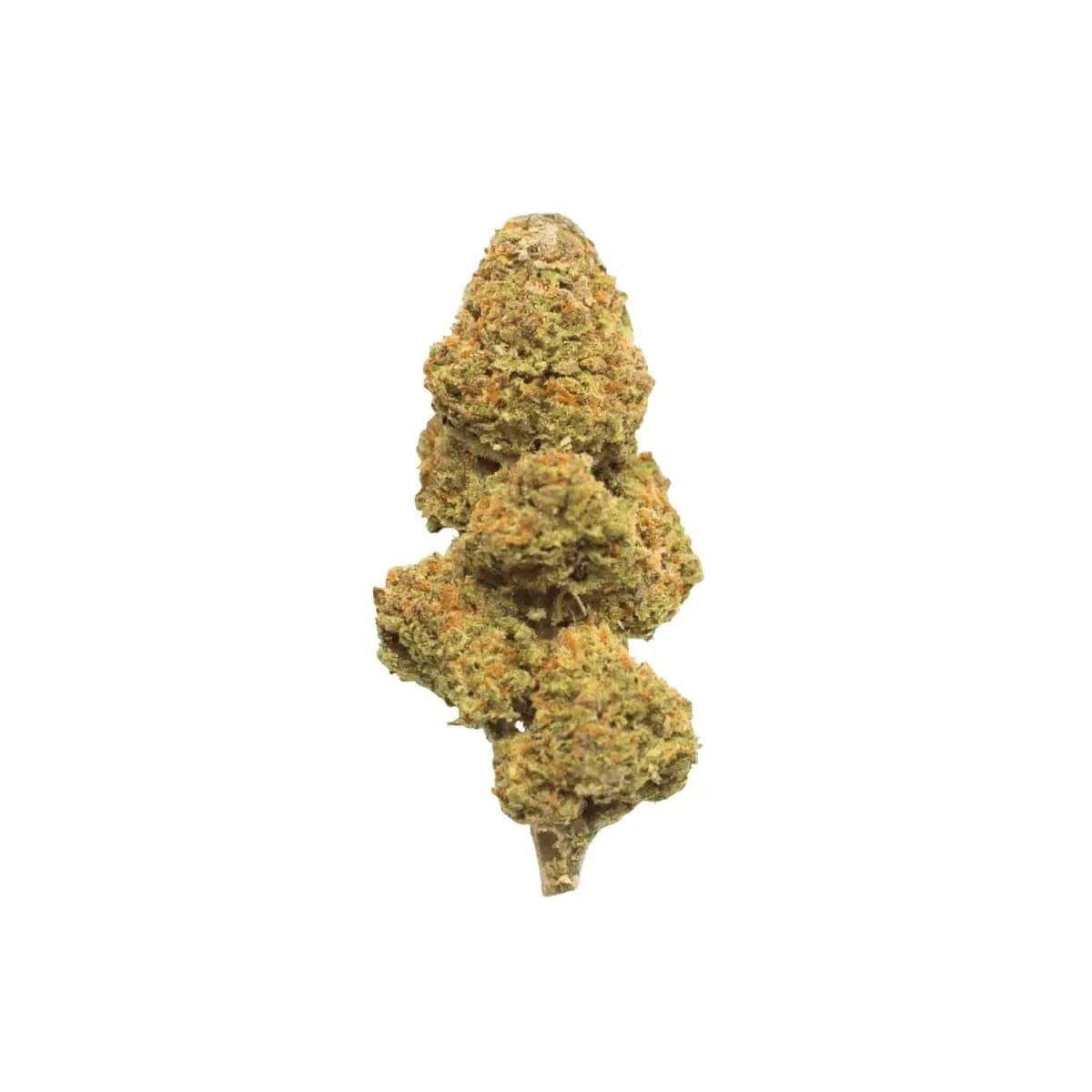 Slouu 27/1 CBC CA - Citron Biker Cookies |Cannazen