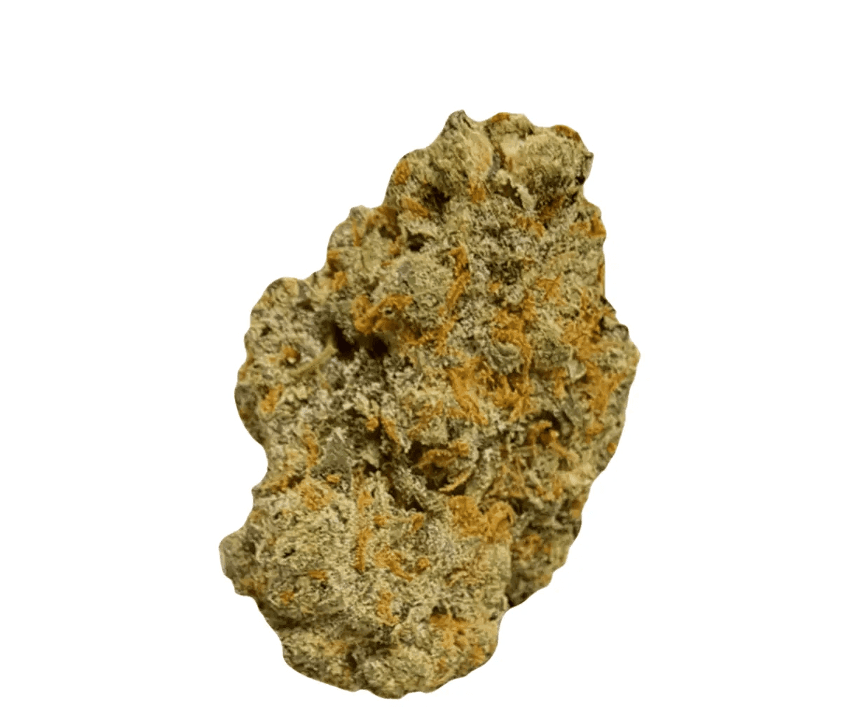 Huala 27/1 UK CIN - Cinderella Kush