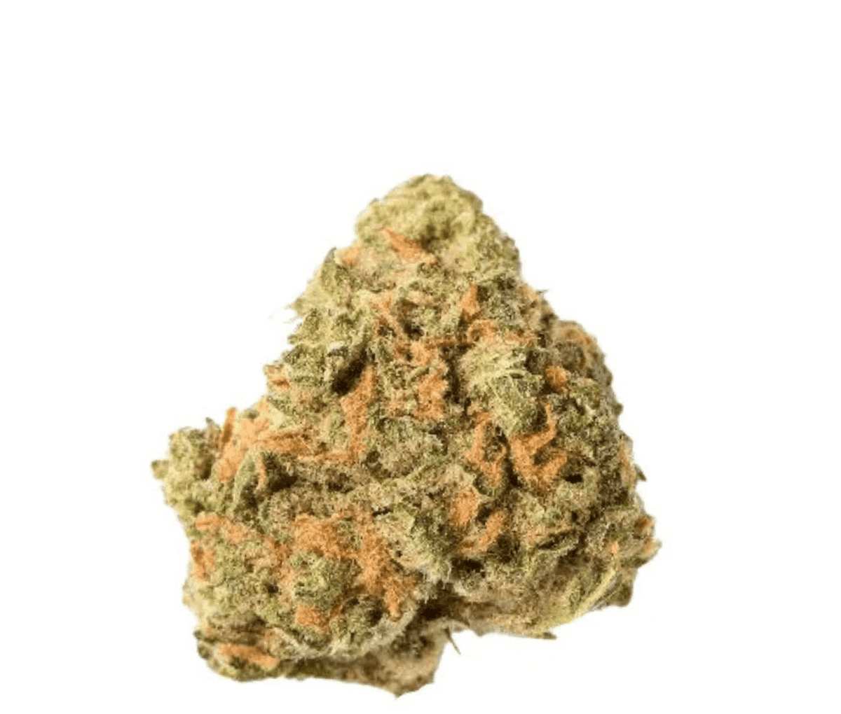 Cannamedical Sativa Ultra ES - Nova