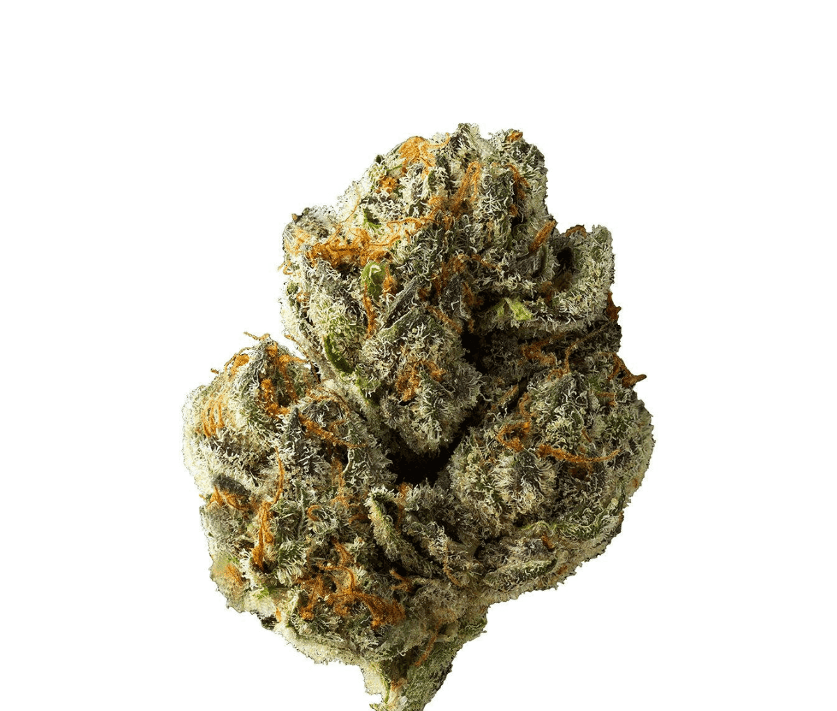 Cannamedical CM 28/1 DM - Diamond Mints