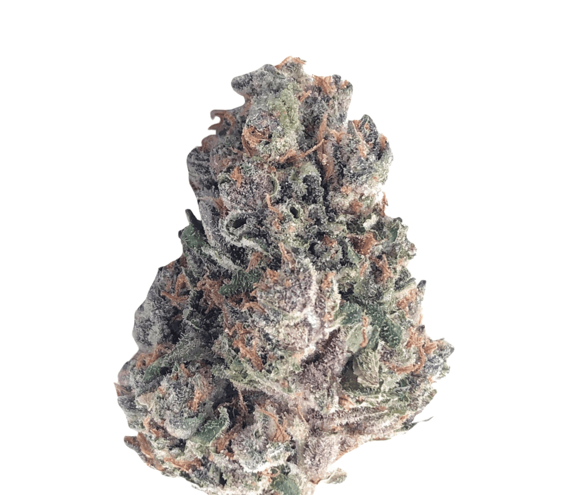 420 Compound 25/1 CA RGR - Rose Gold Runtz