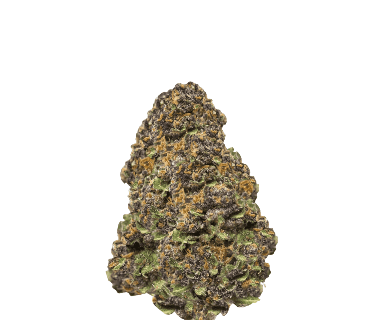 Cannamedical Hybrid Forte BC - Lemon Cookies Cannamedical Hybrid Forte BC - Lemon Cookies