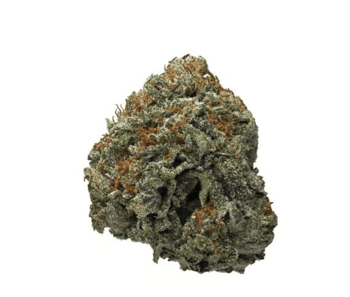 Foto einer medizinischen Cannabisblüte