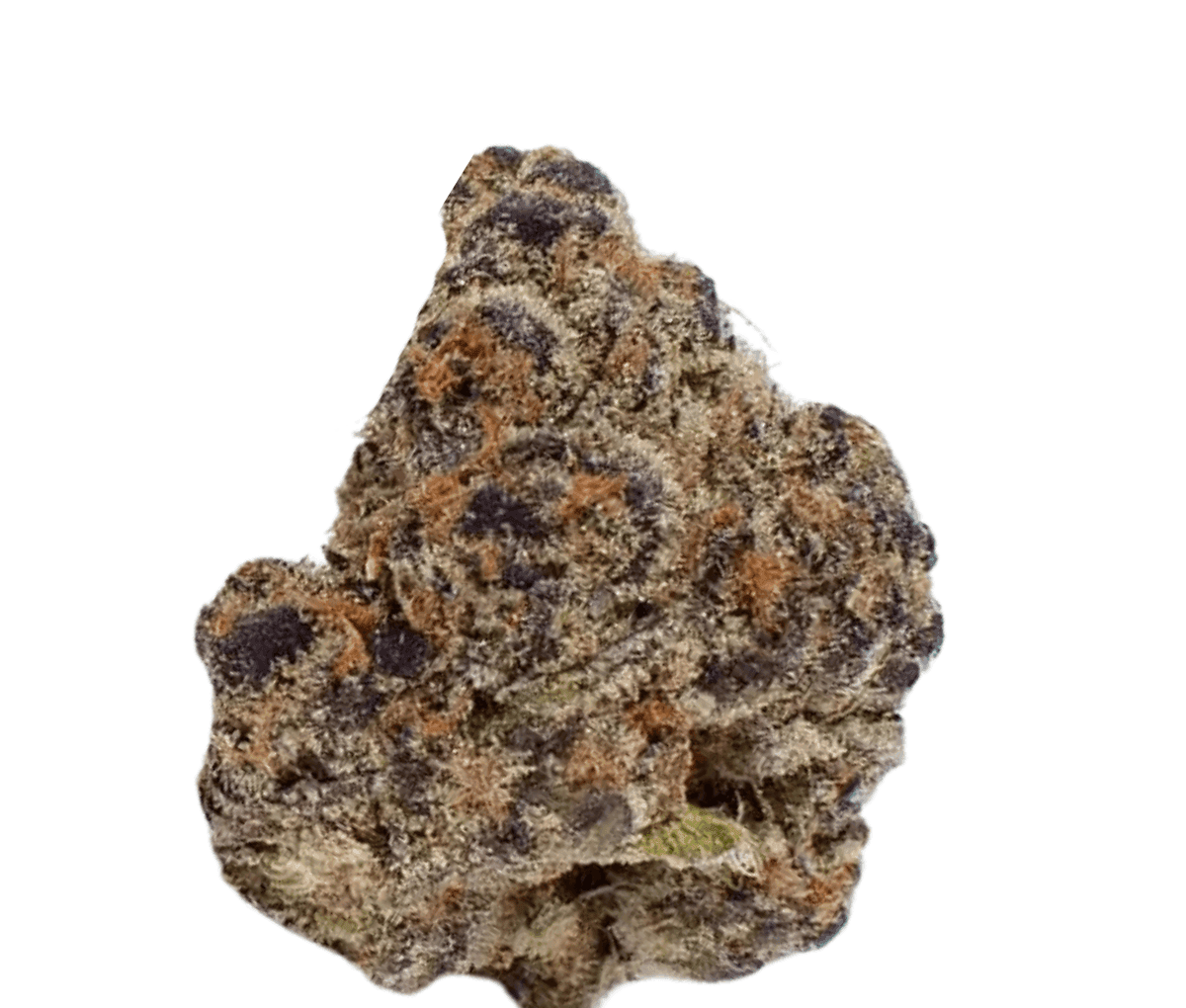 Remexian 27/1 SWV - ShockWave Remexian 27/1 SWV - ShockWave