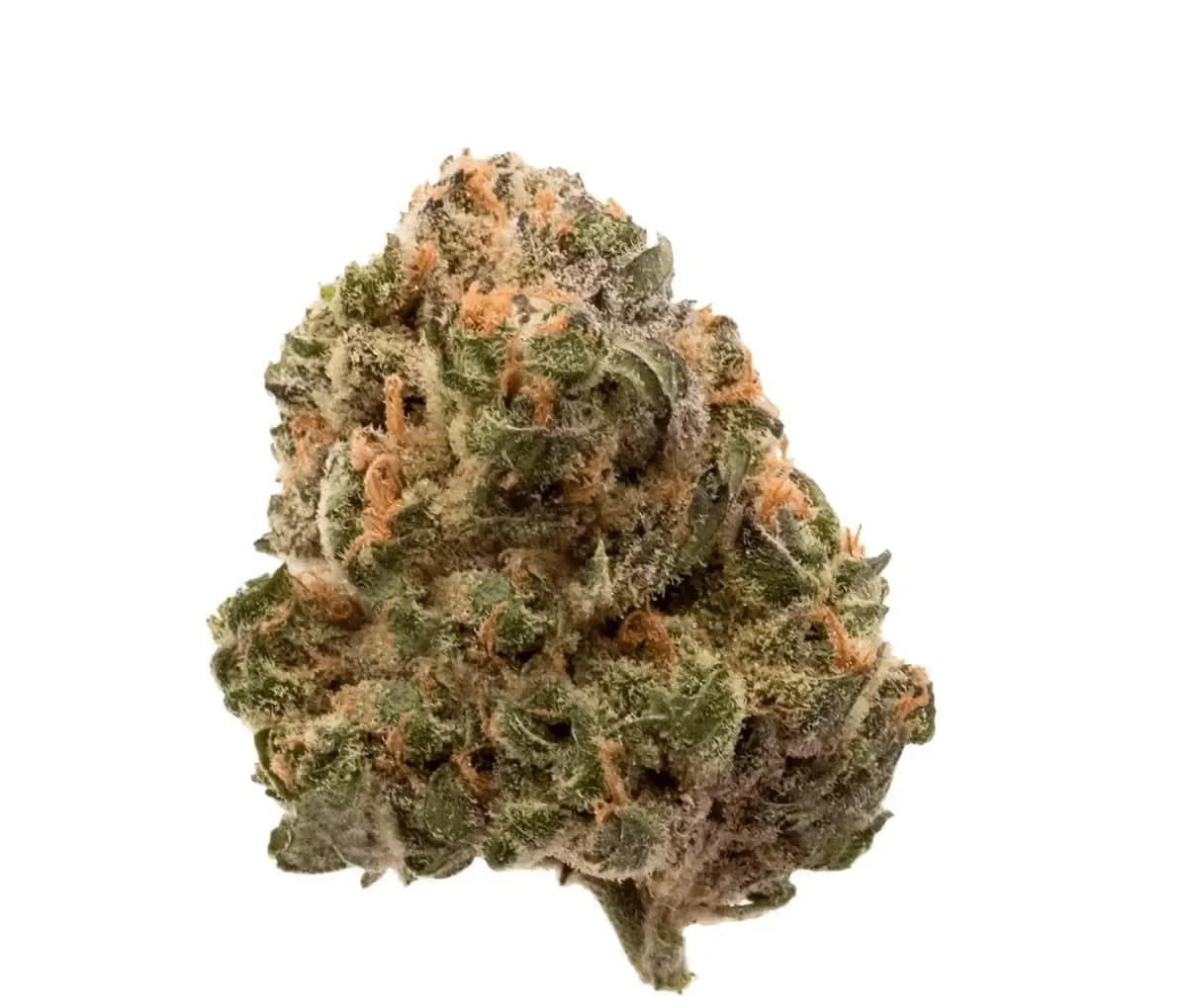 Cannamedical Hybrid forte BC Garlic Truffle