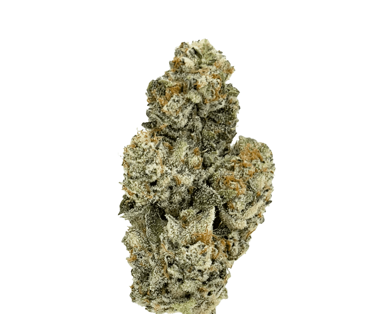 Green Karat CG - Cool Grapes Green Karat CG - Cool Grapes