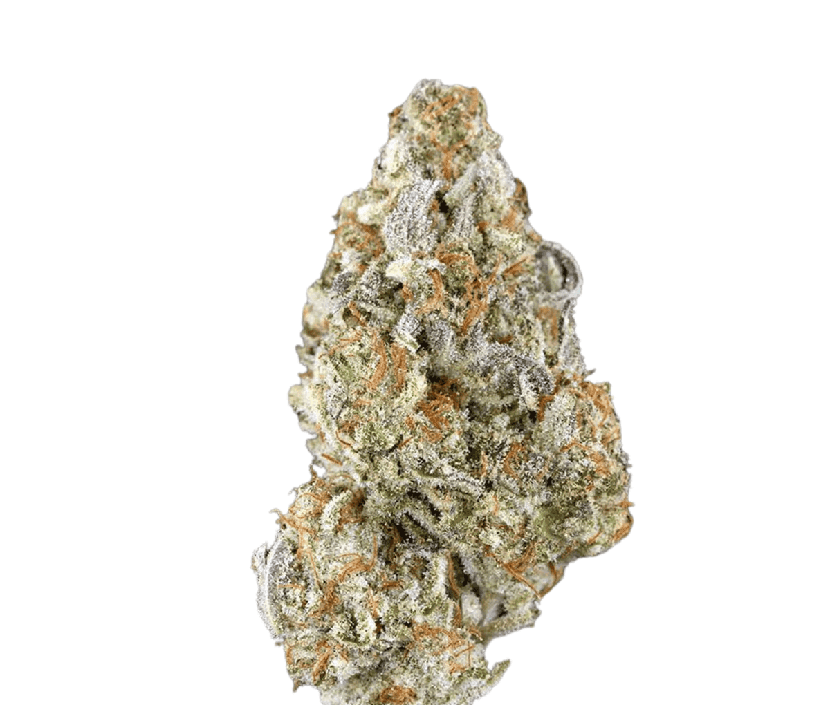 enua 25/1 DSH CA - Dark Shadow Haze enua 25/1 DSH CA - Dark Shadow Haze