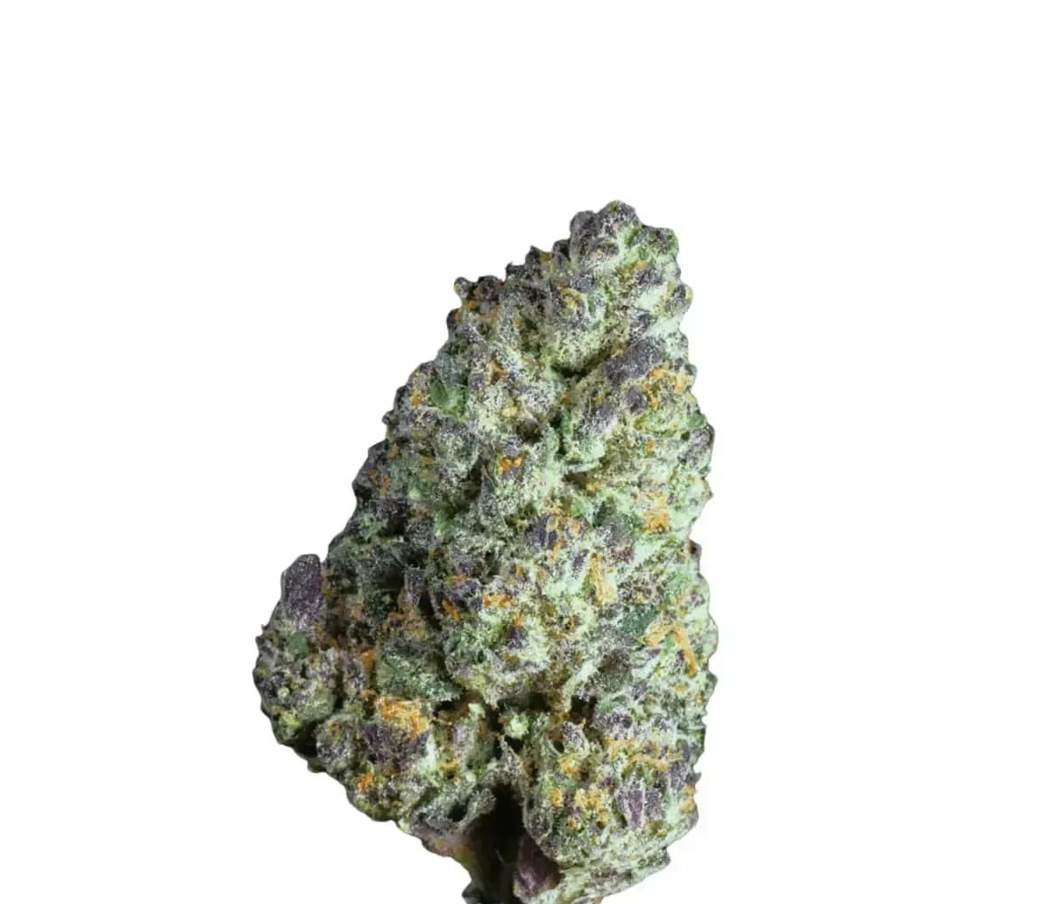 Luana 24/1 Delight - Carnez Citric Luana 24/1 Delight - Carnez Citric