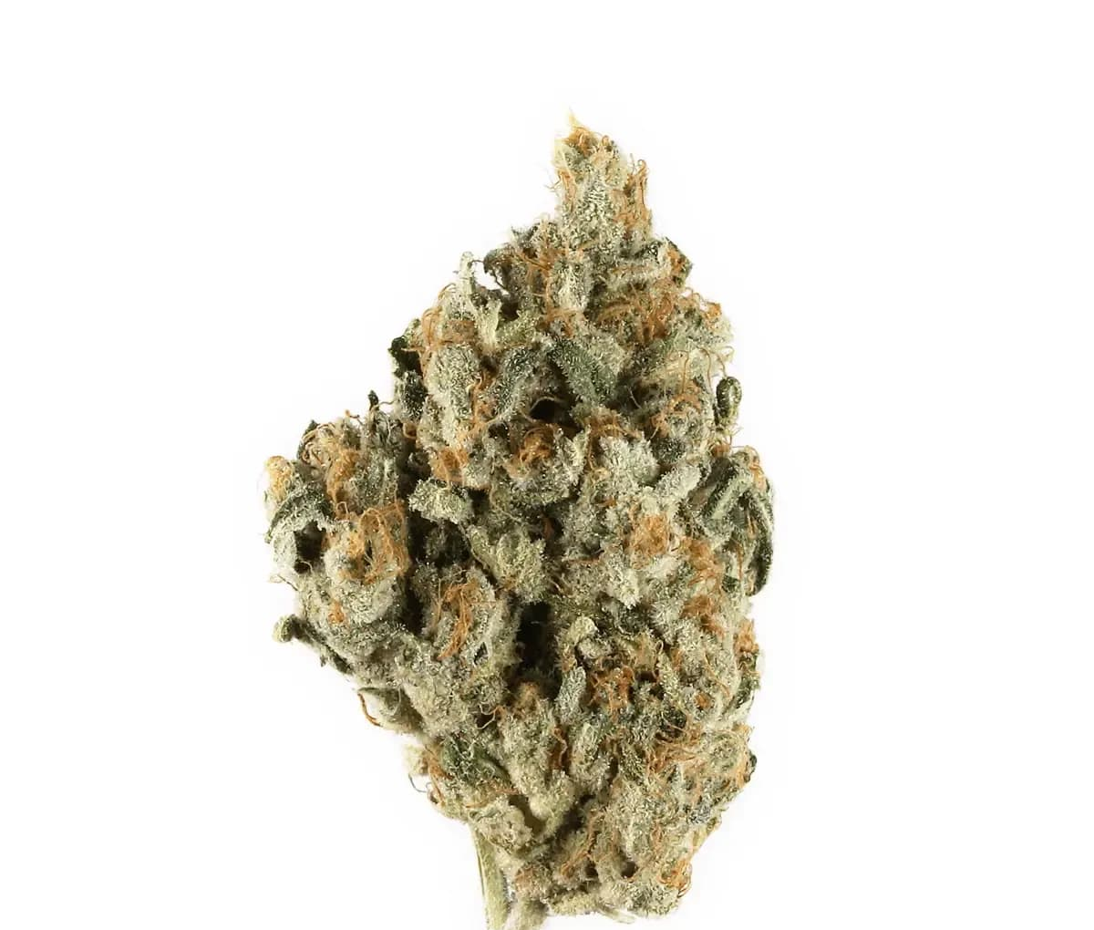 Good Supply Cannabisblüten THC18 SWK - Skywalker Kush Good Supply Cannabisblüten THC18 SWK - Skywalker Kush