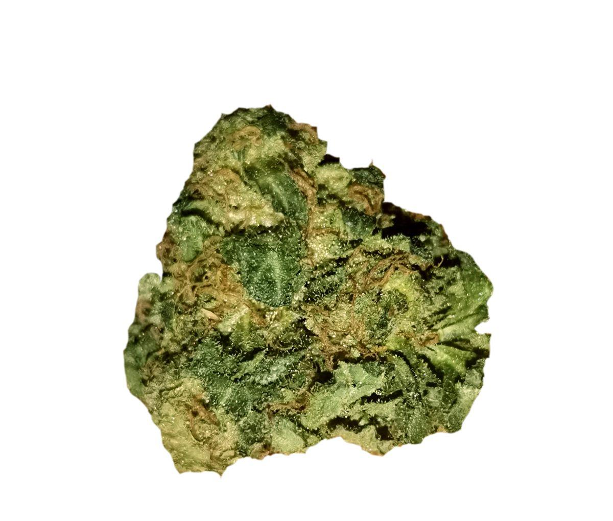 Tilray THC 18 Spotlight Porto - Headband Tilray THC 18 Spotlight Porto - Headband