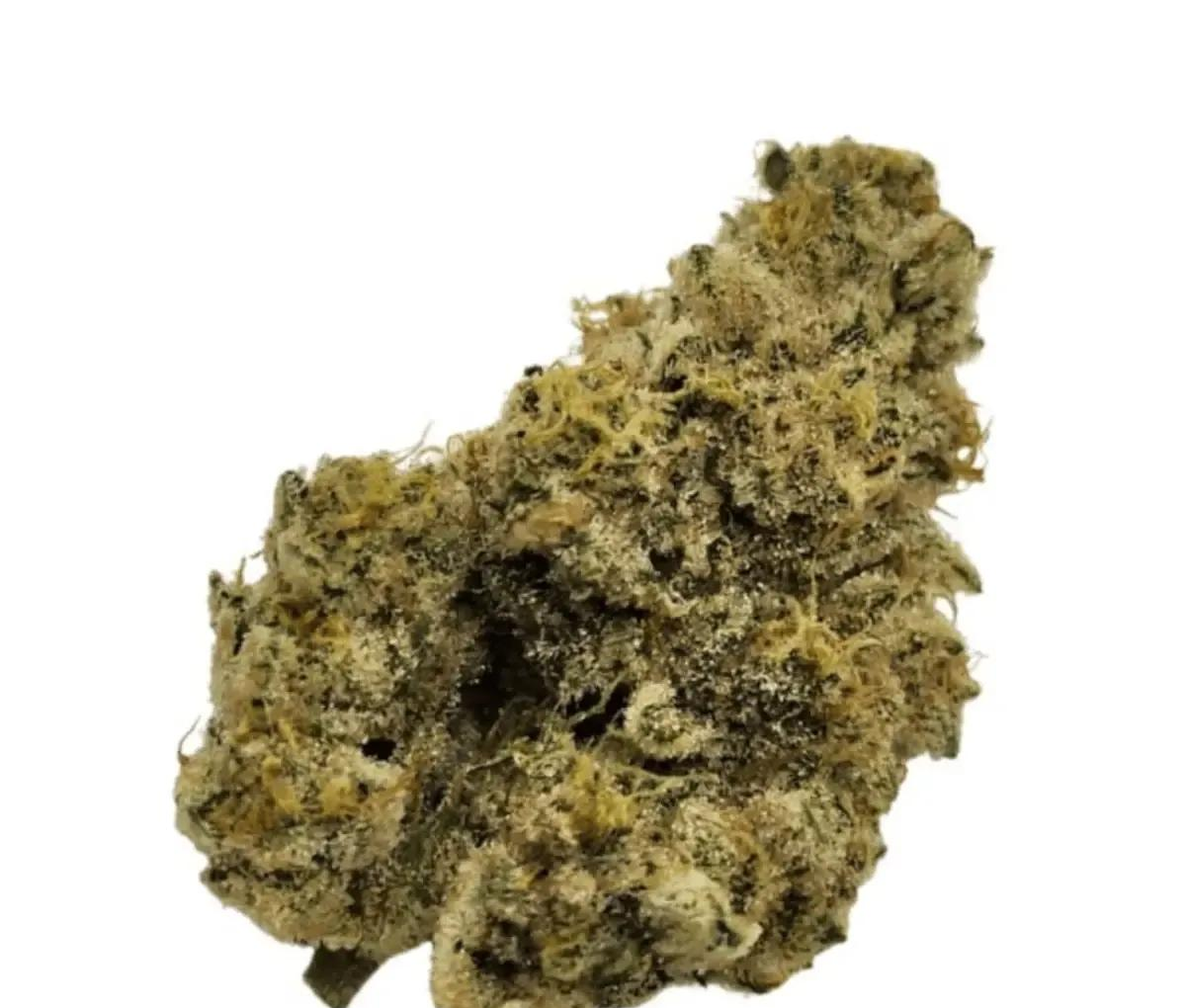 Nimbus easy 30/1 - French Cookies