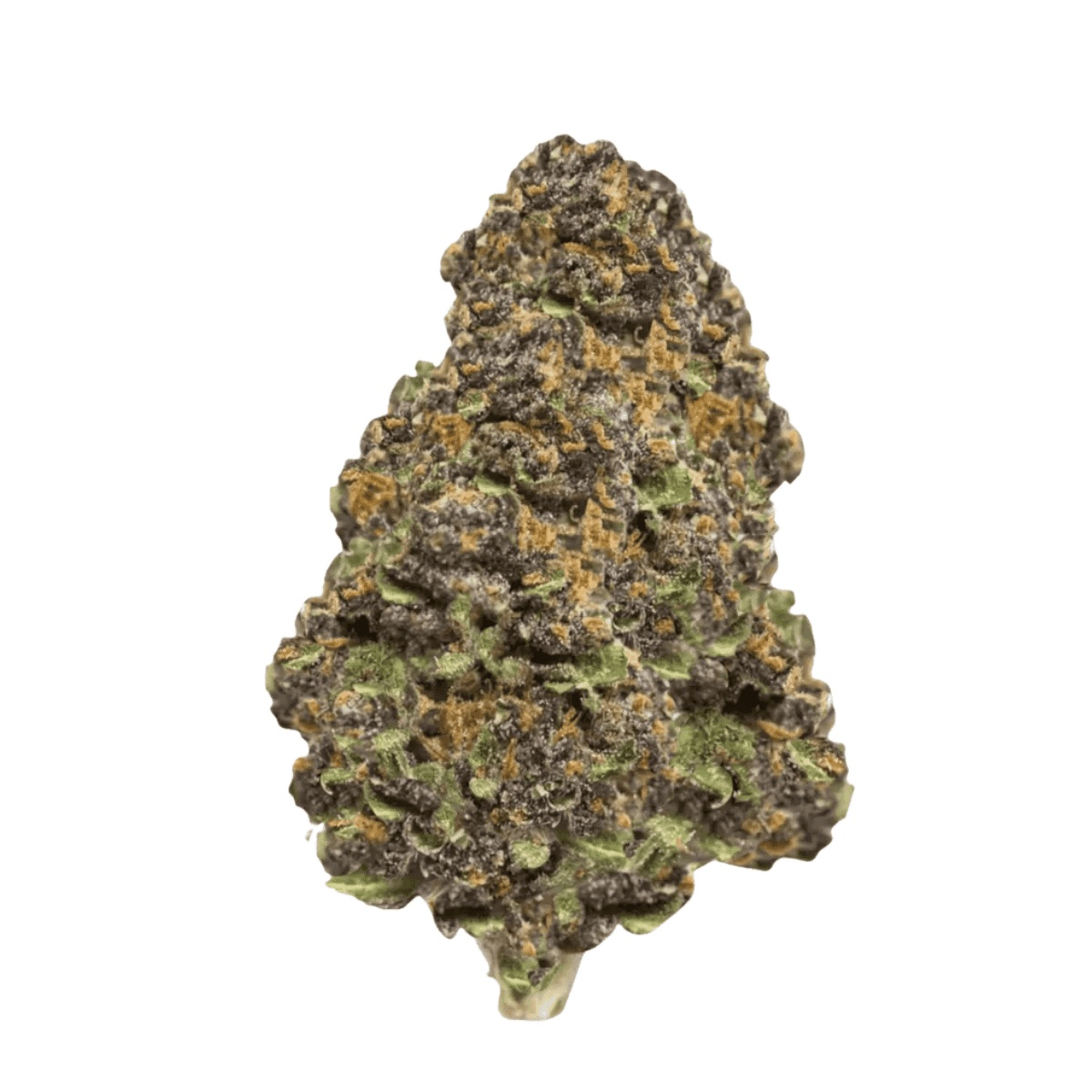 Cannamedical Hybrid Ultra BC - Lemon Cookies I Cannazen